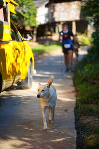 BIB: 
                            <button type="button" onclick="openModal(19338963)" class="btn btn-primary btn-sm float-right btn-popup" data-toggle="modal" data-target=".modal-high-quality">
                        <i class="fas fa-shopping-cart"></i> Add to Cart
                    </button>
                                            <button type="button" onclick="isThisMe(19338963, true)" class="btn btn-success btn-sm float-right btn-popup btn-isme hidden" data-toggle="tooltip" data-placement="bottom" title="นี่คือรูปของคุณใช่ไหม คลิกที่นี่เพื่อเอาเข้าอัลบั้ม">
                        <i class="fas fa-plus"></i> Add to album
                    </button>
                    <button type="button" onclick="isThisMe(19338963, false)" class="btn btn-warning btn-sm float-right btn-popup btn-isnotme hidden">
                        <i class="fas fa-ban"></i> Remove from album
                    </button>